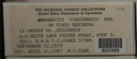 Image Associated With the Occurence